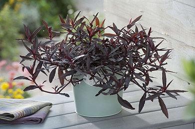 国产单机独立游戏《彼方的她》Steam正式发售