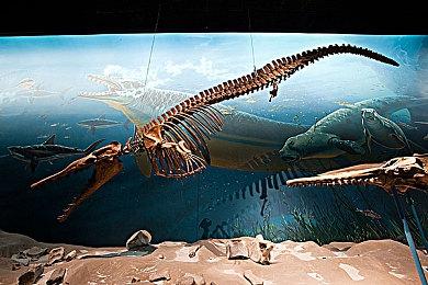 都市怪谈AVG《筮灵》Steam页面上线 文本量达25万字